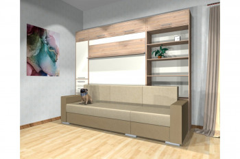 Шкаф-кровать с диваном Каролина в Мамоново - mamonovo.mebel54.com | фото